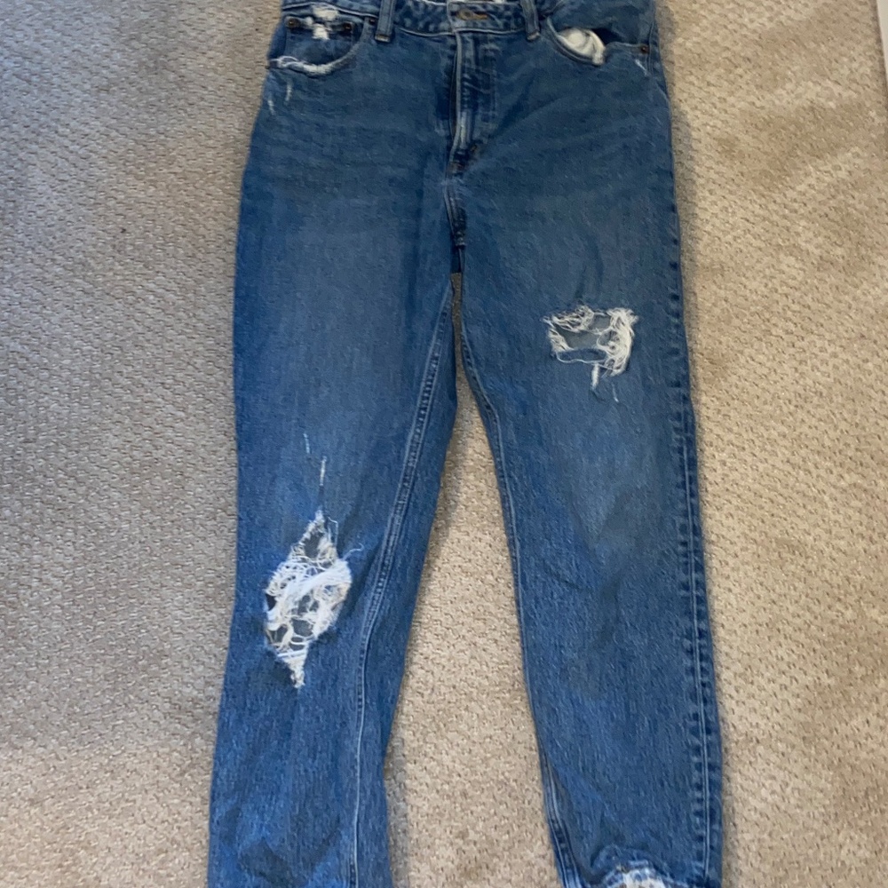 Abercrombie & Fitch High Rise Mom Jean Curve Love